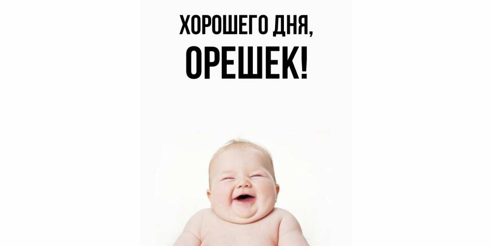 Открытка  для любимых и родных. орешек, Хорошего дня  
