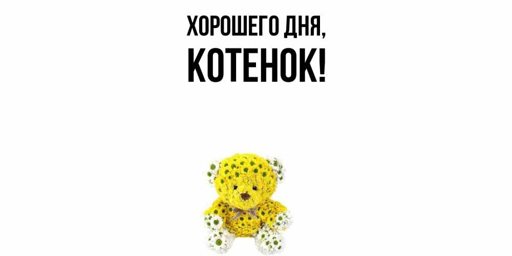 Картинка Хорошего дня, Котенок