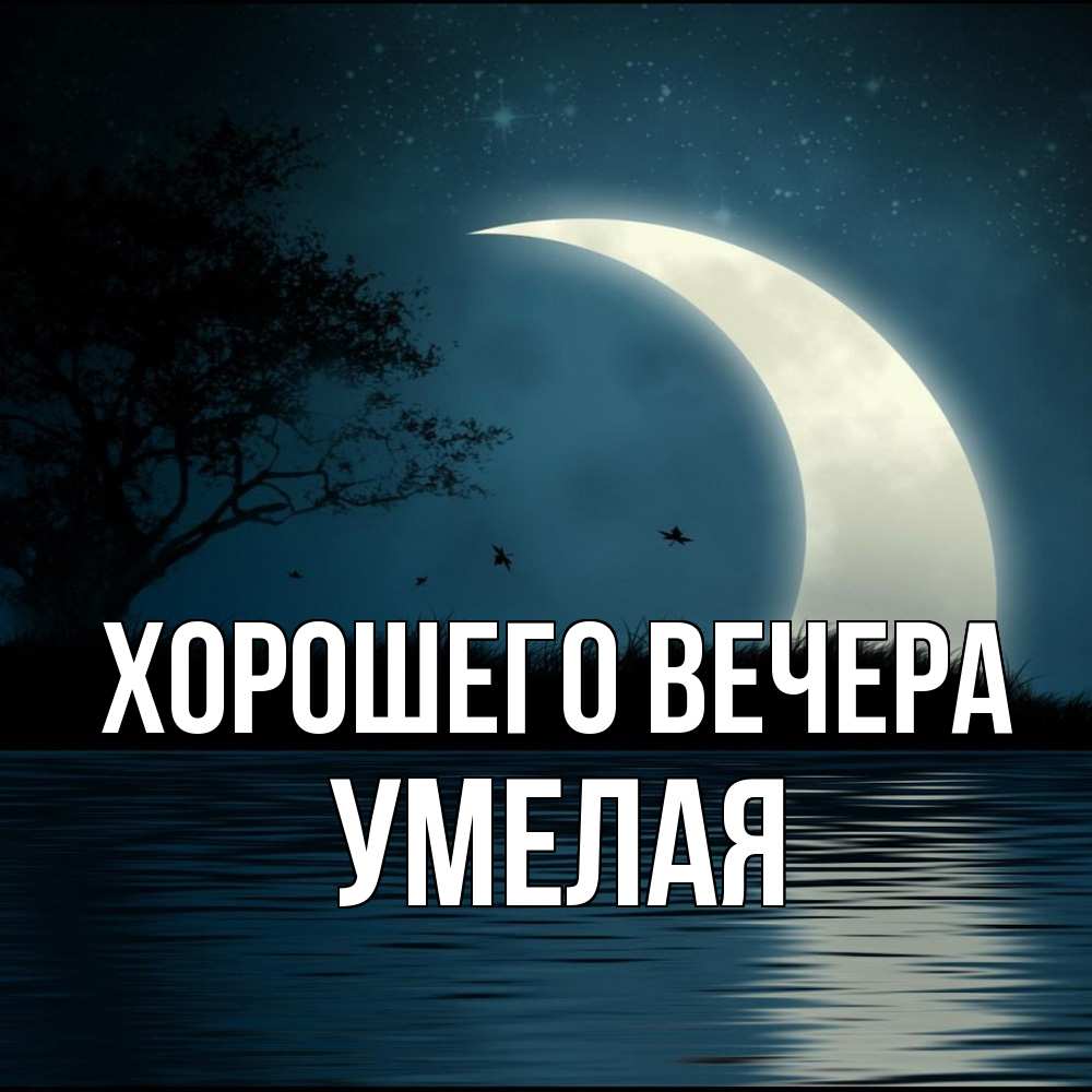Открытка  для любимых и родных. умелая, Хорошего вечера  