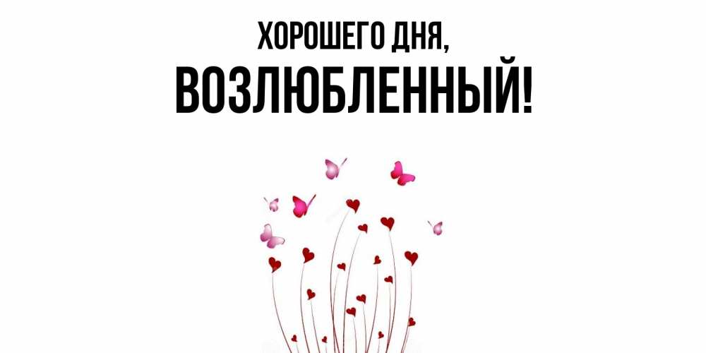 Открытка  для любимых и родных. возлюбленный, Хорошего дня  