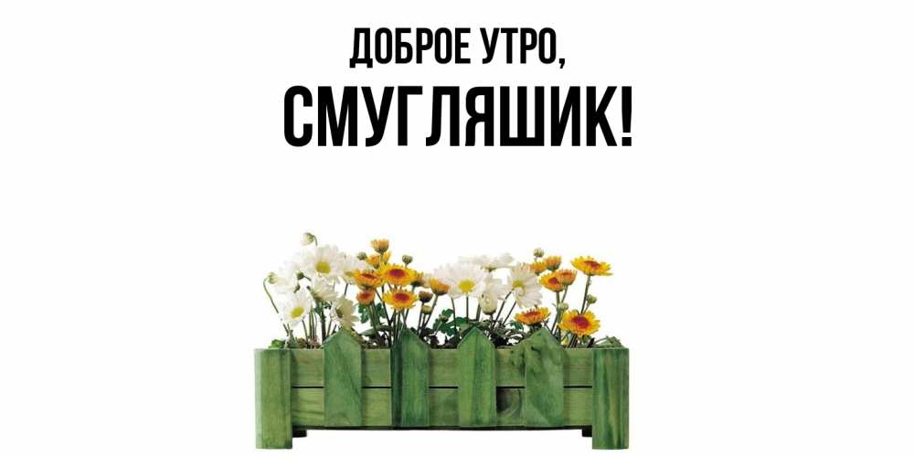 Открытка с именем, смугляшик, Доброе утро