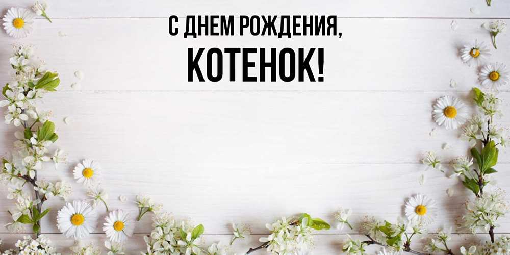 Картинка С днем рождения, Котенок