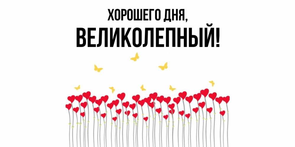 Картинка Хорошего дня, великолепный