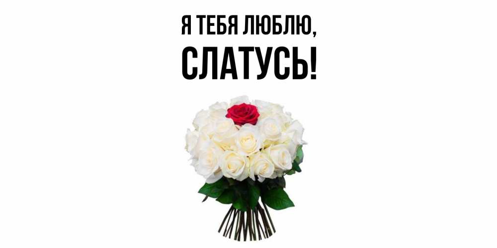 Открытка  для любимых и родных. слатусь, Я тебя люблю  
