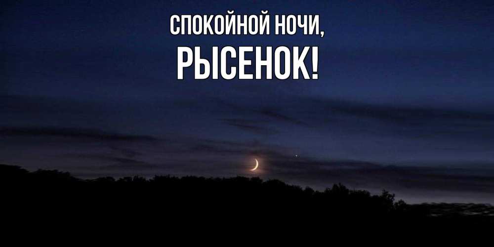 Открытка  для любимых и родных. рысенок, Спокойной ночи  