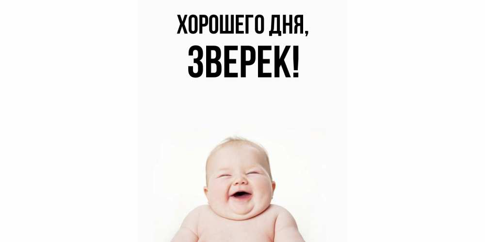 Открытка  для любимых и родных. звеpек, Хорошего дня  