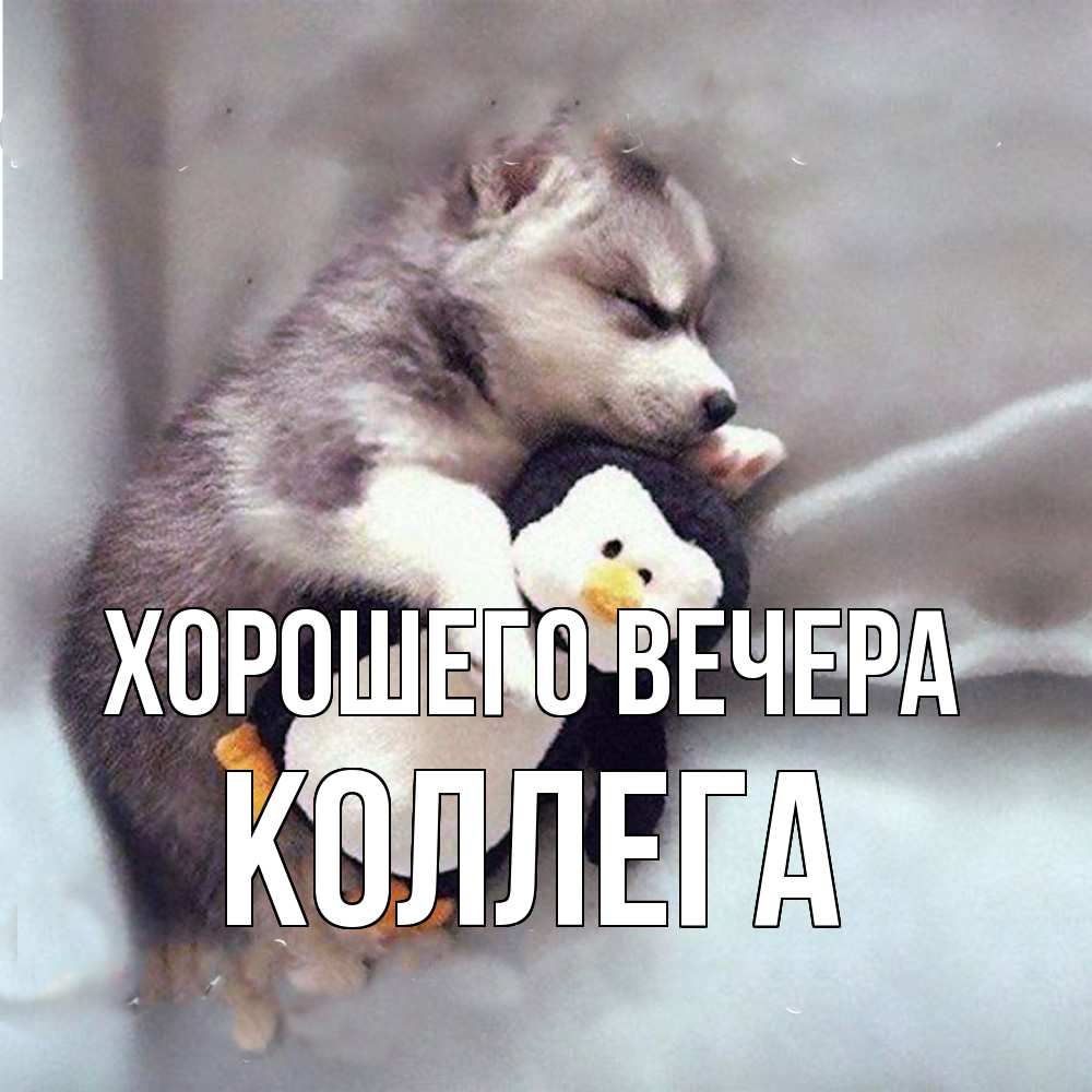 Открытка  для любимых и родных. Коллега, Хорошего вечера  