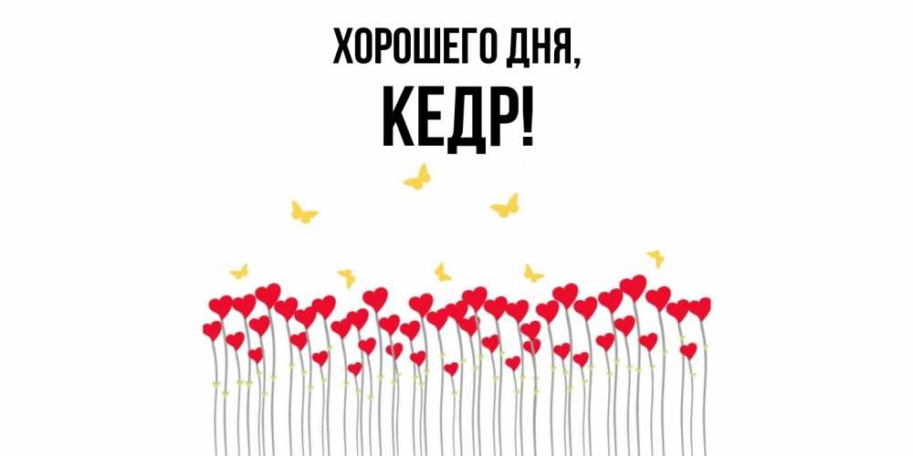 Открытка  для любимых и родных. кедр, Хорошего дня  