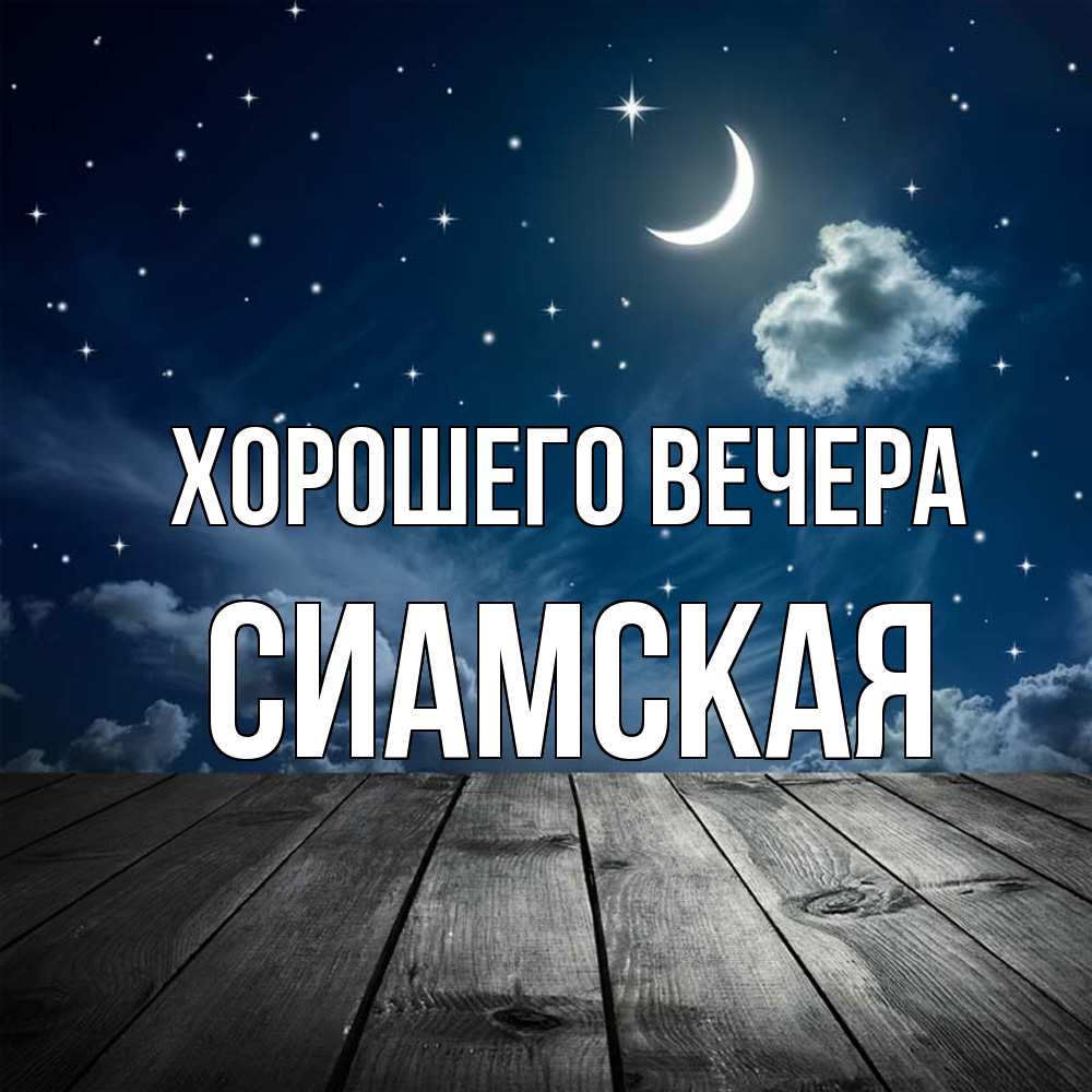 Картинка Хорошего вечера, сиамская