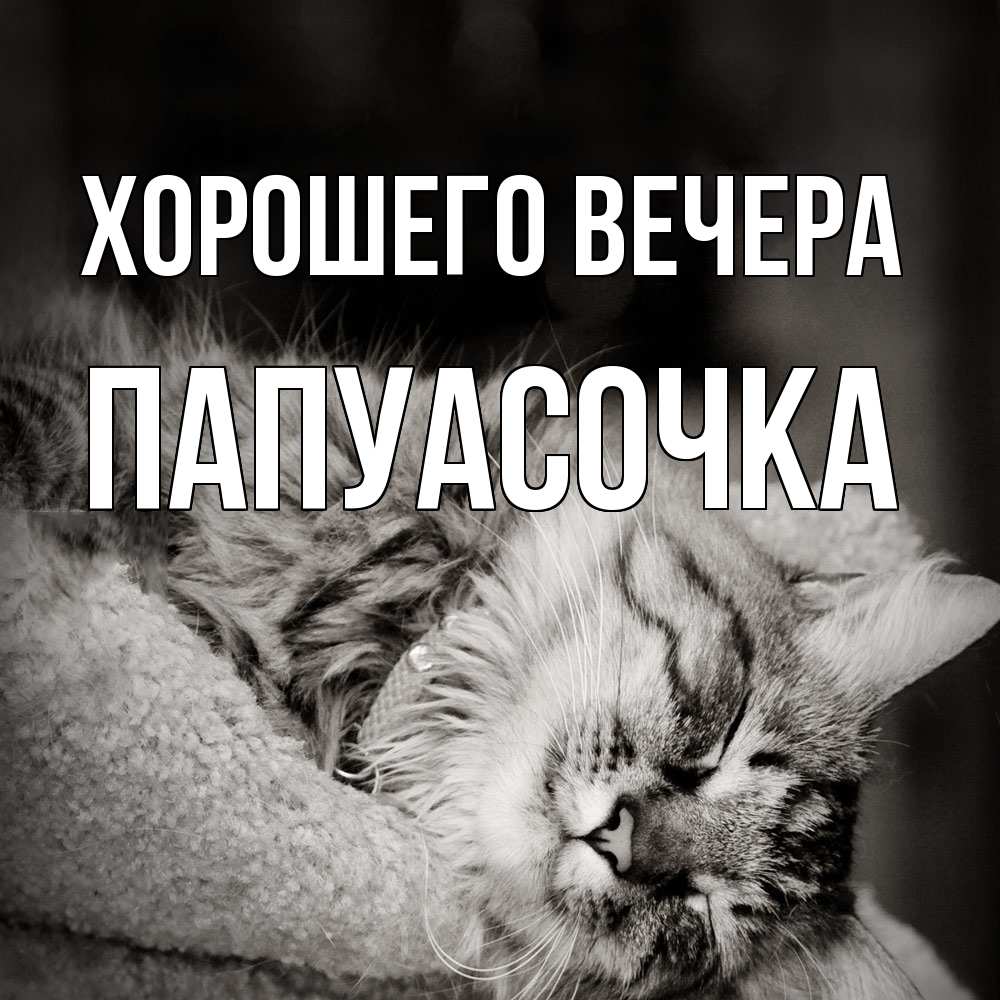 Картинка Хорошего вечера, папуасочка