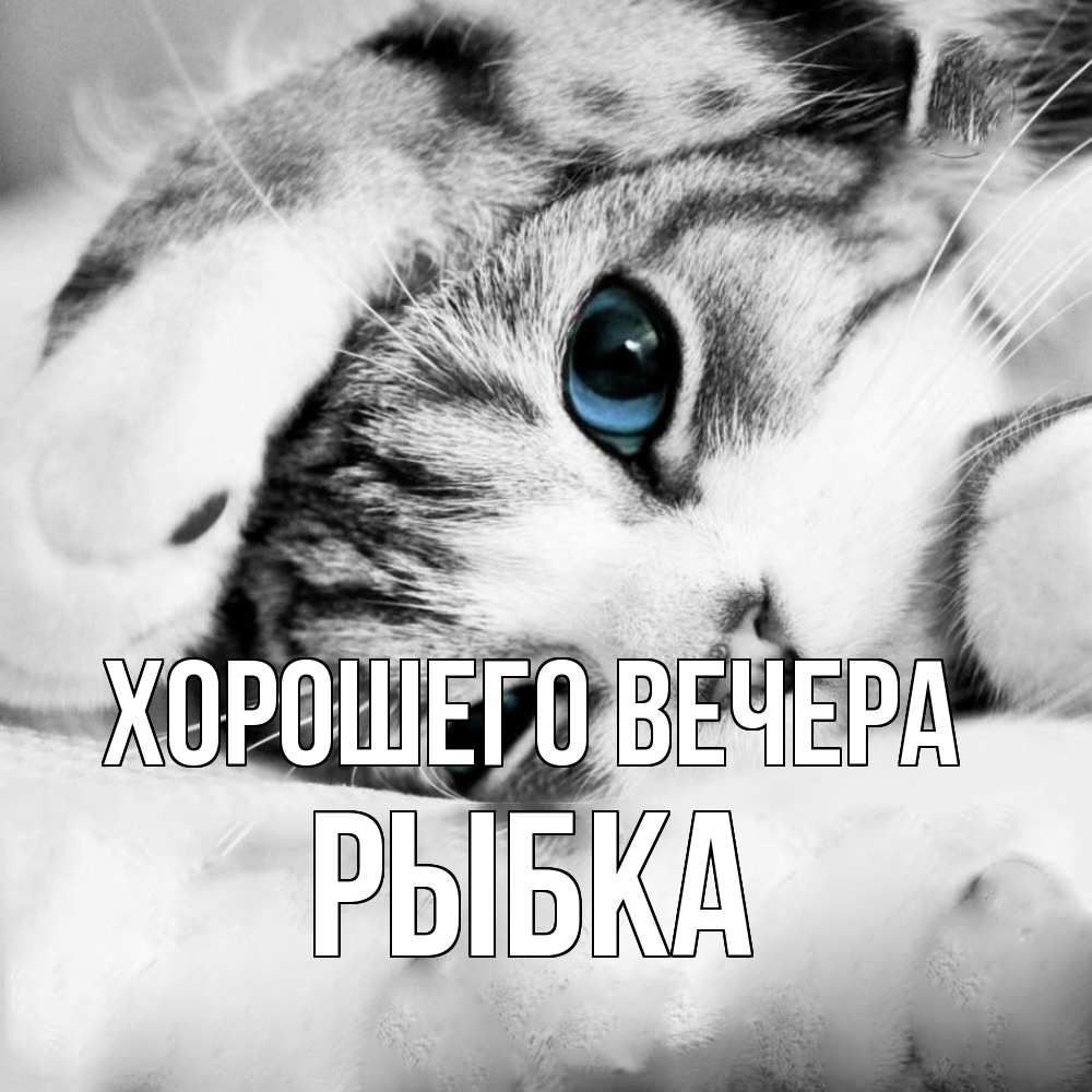 Картинка Хорошего вечера, рыбка