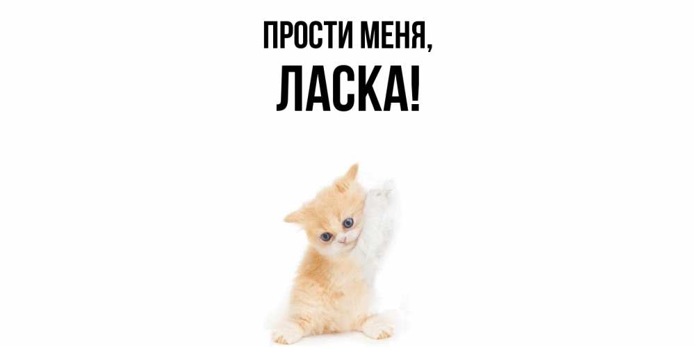 Картинка Прости меня, ласка