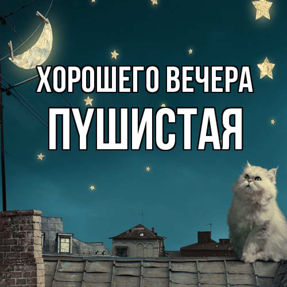 Картинка Хорошего вечера, пyшистая