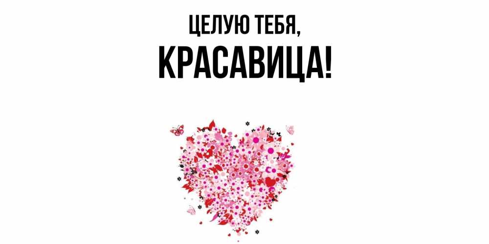 Открытка  для любимых и родных. красавица, Целую тебя  