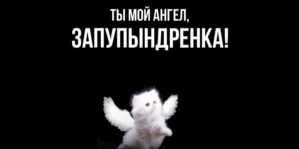 Открытка  для любимых и родных. запупындренка, Ты мой ангел  
