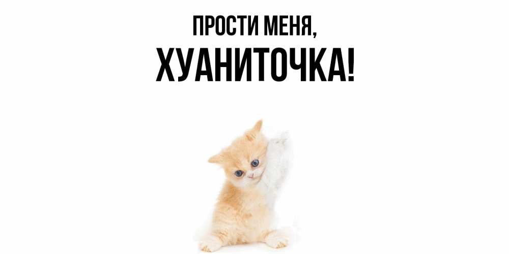 Картинка Прости меня, хуаниточка