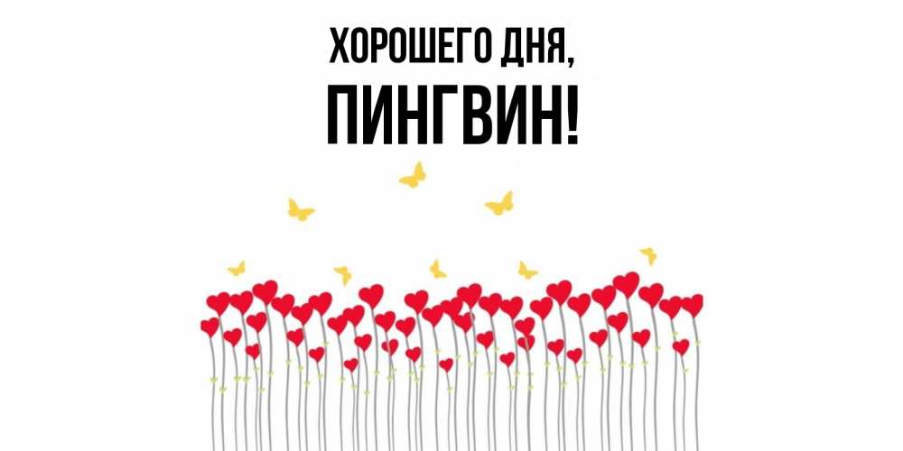 Открытка  для любимых и родных. пингвин, Хорошего дня  
