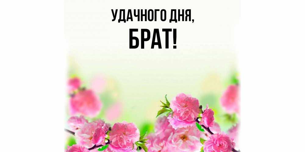 Картинка Удачного дня, Брат