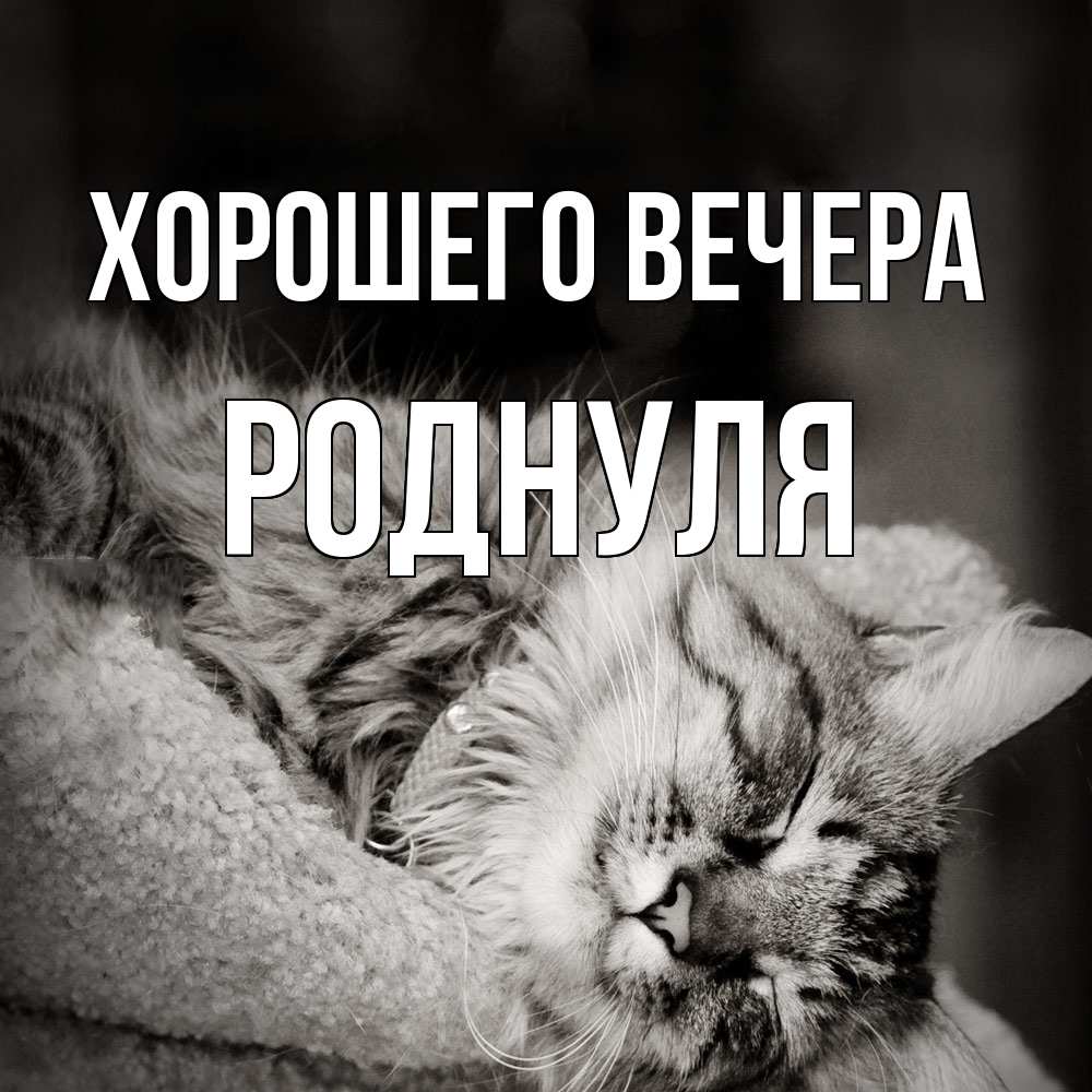Открытка  для любимых и родных. роднуля, Хорошего вечера  