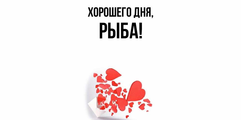 Открытка  для любимых и родных. рыба, Хорошего дня  