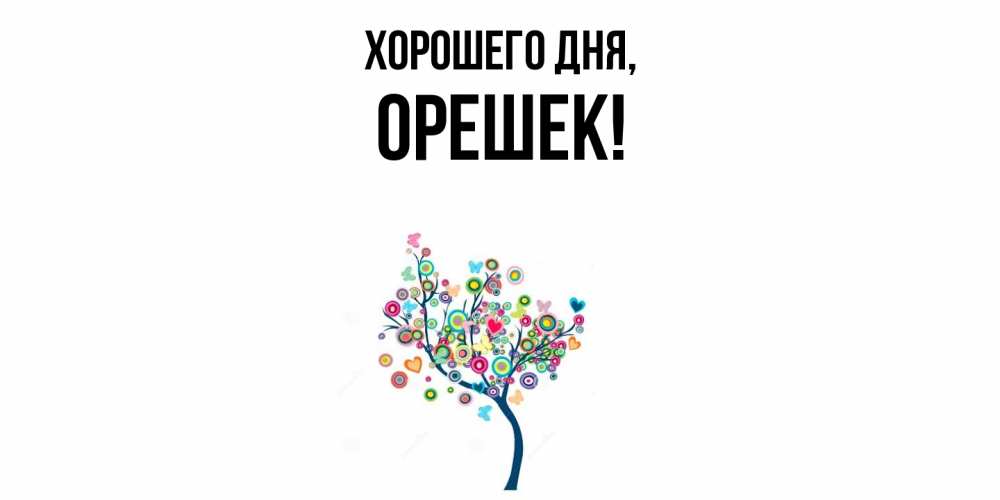Открытка  для любимых и родных. орешек, Хорошего дня  