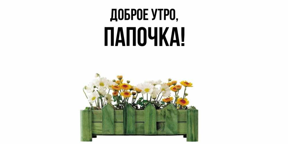 Картинка Доброе утро, Папочка