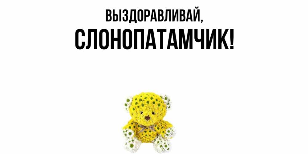 Открытка  для любимых и родных. слонопатамчик, Выздоравливай  