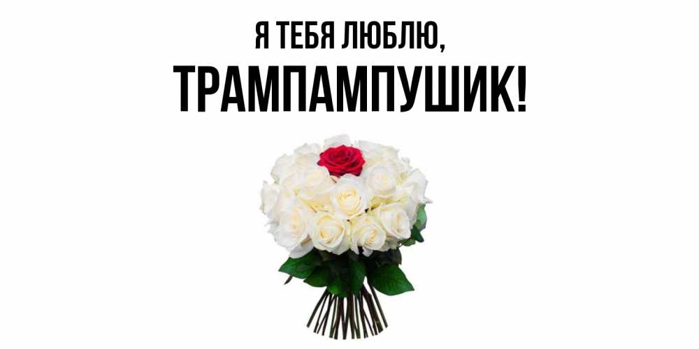 Открытка  для любимых и родных. трампампушик, Я тебя люблю  