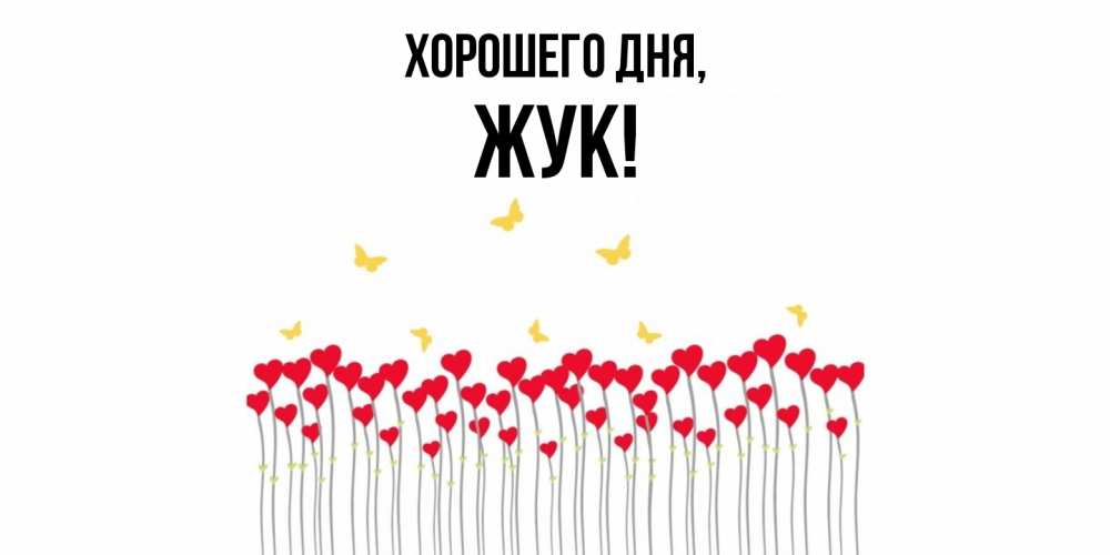 Открытка  для любимых и родных. жук, Хорошего дня  