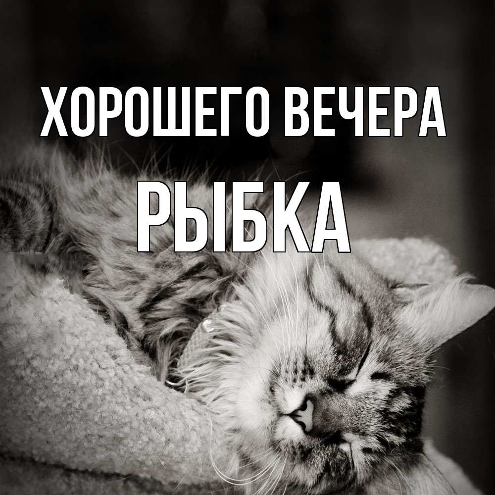 Открытка  для любимых и родных. рыбка, Хорошего вечера  