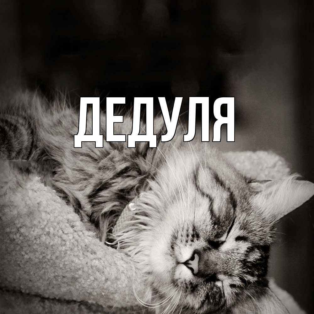 Открытка  для любимых и родных. Дедуля, Главная  
