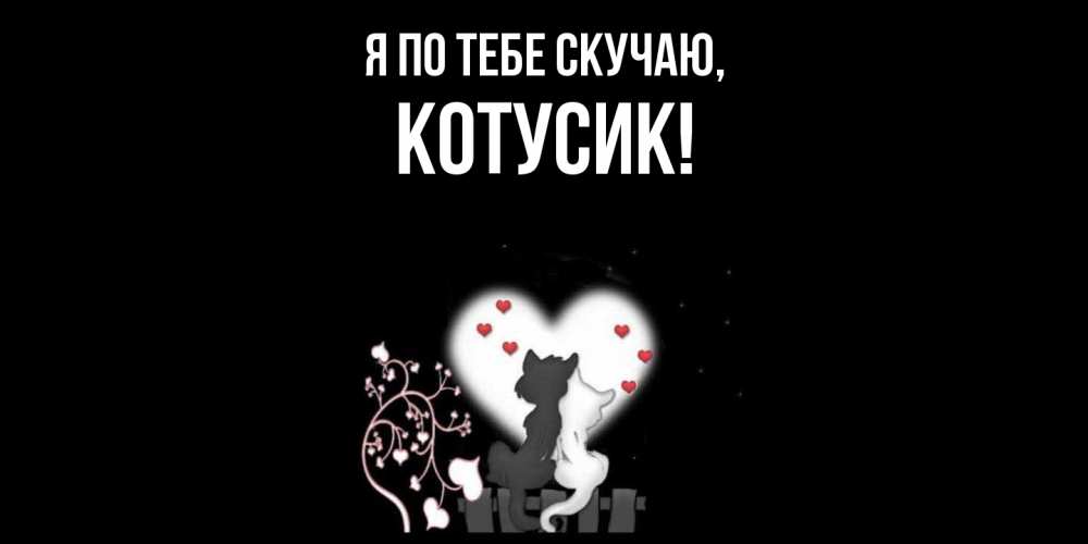 Открытка  для любимых и родных. котусик, Я по тебе скучаю  