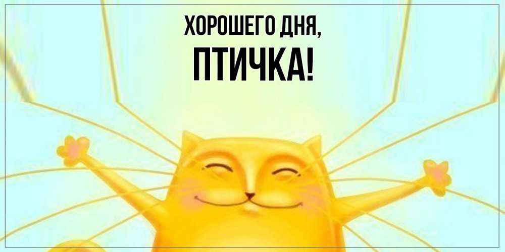 Картинка Хорошего дня, птичка