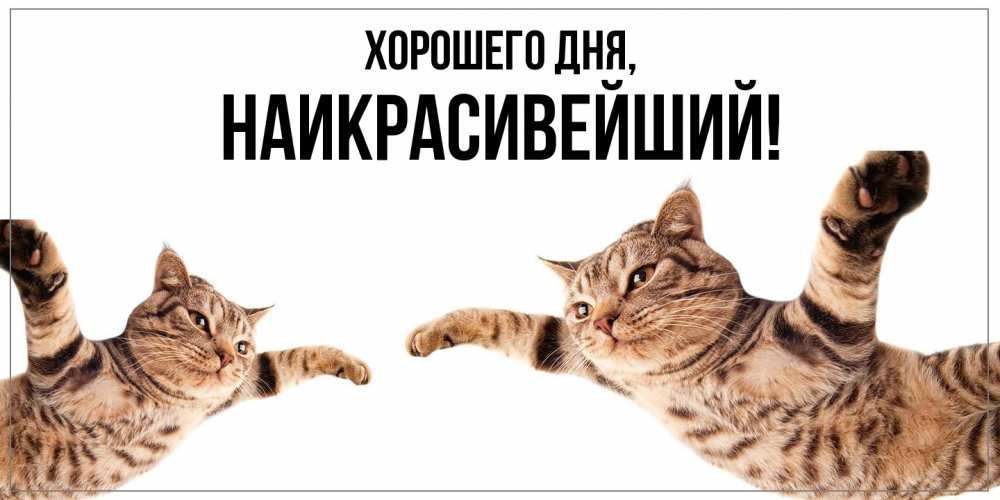 Открытка  для любимых и родных. наикрасивейший, Хорошего дня  