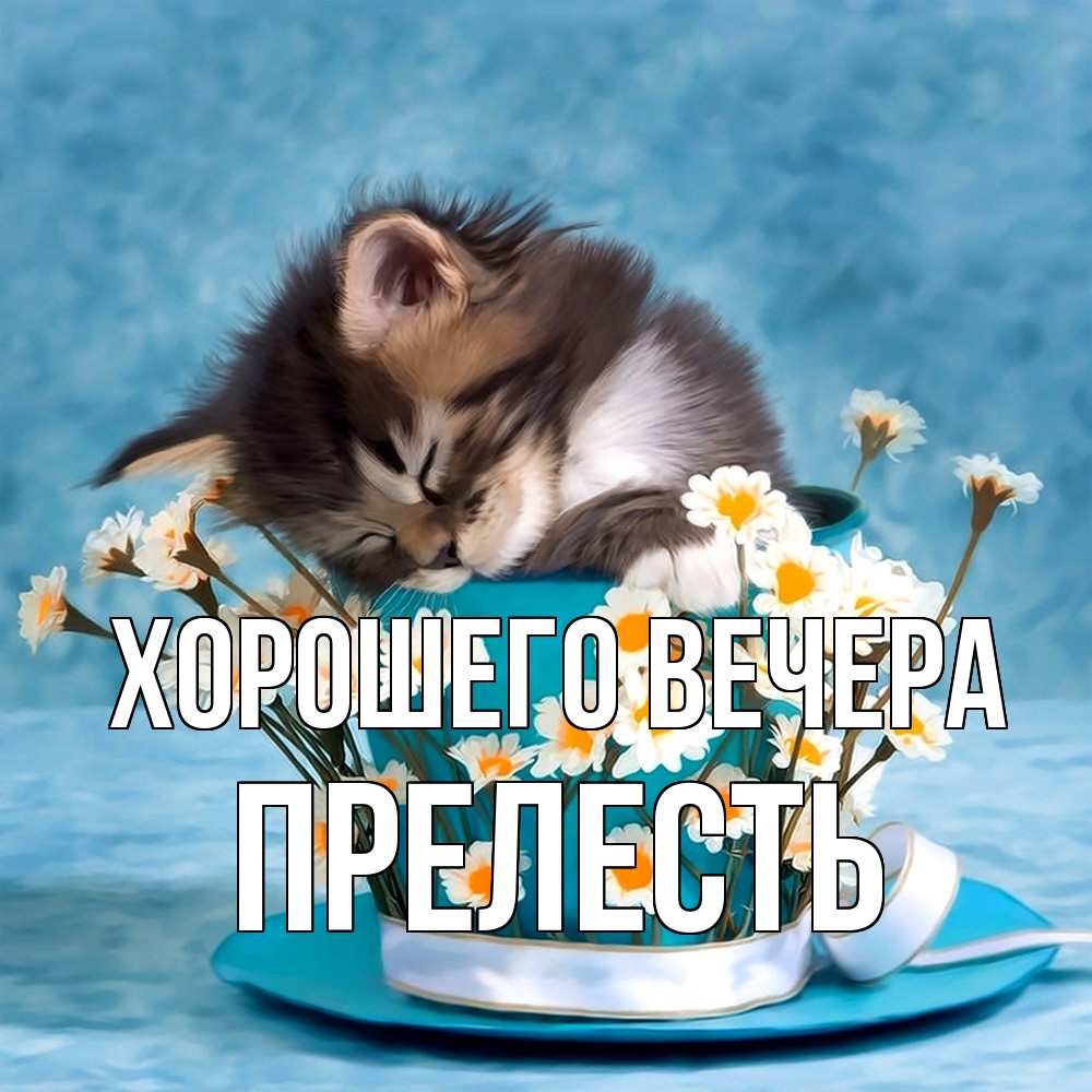 Картинка Хорошего вечера, прелесть