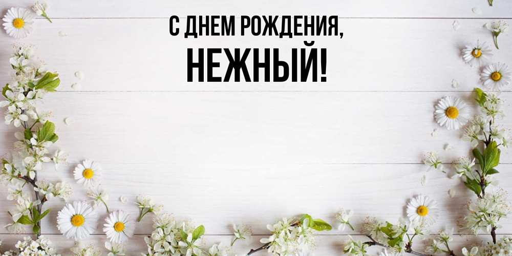 Картинка С днем рождения, нежный