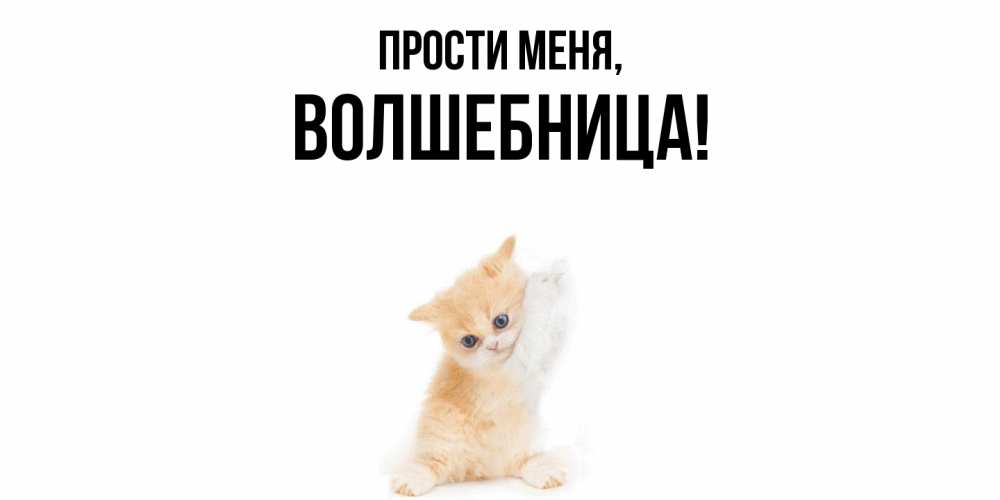 Картинка Прости меня, волшебница