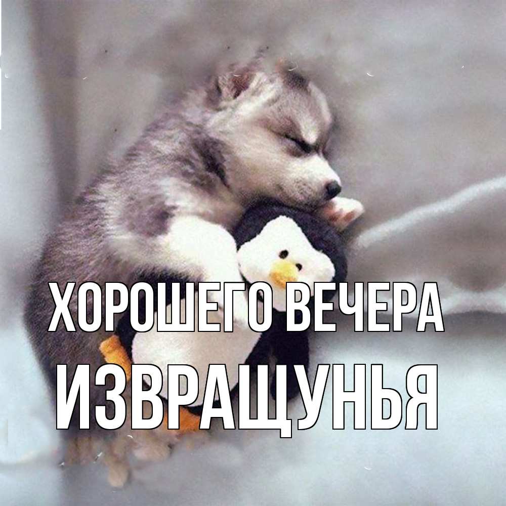 Открытка  для любимых и родных. извращунья, Хорошего вечера  