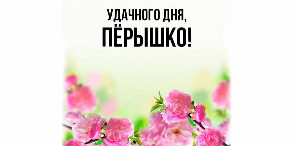 Открытка  для любимых и родных. пёрышко, Удачного дня  