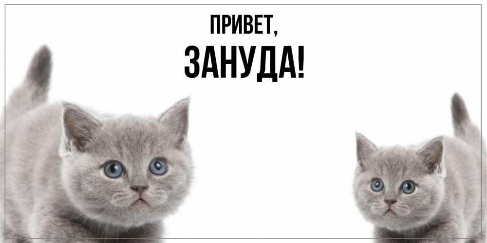 Картинка Привет, зануда