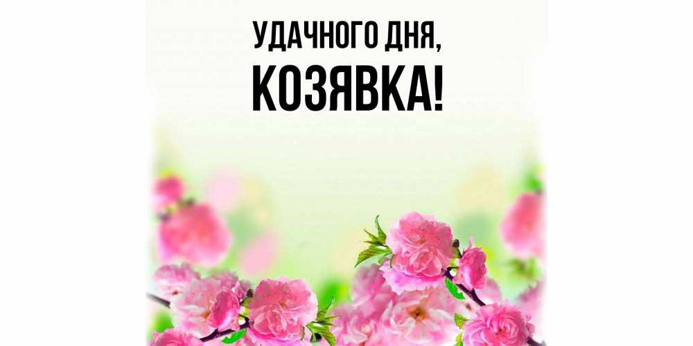 Открытка  для любимых и родных. козявка, Удачного дня  