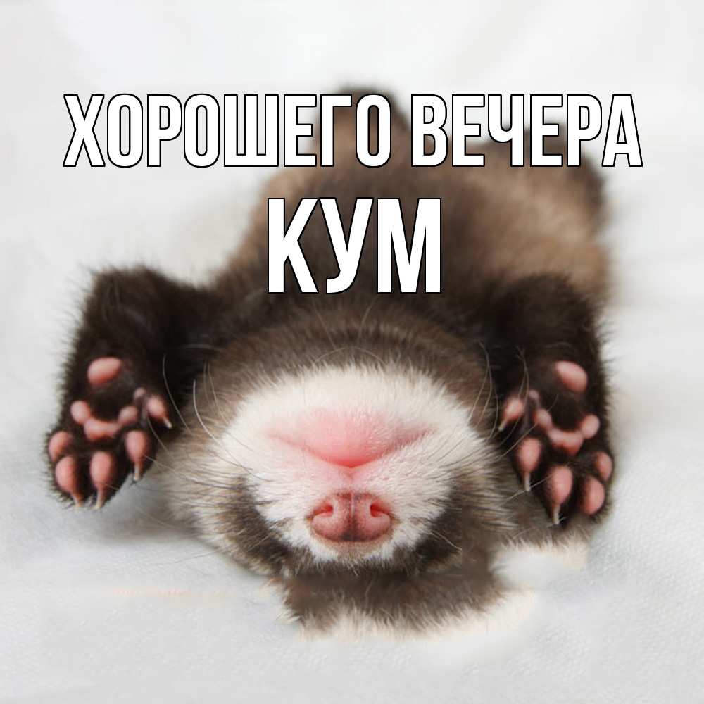 Открытка  для любимых и родных. Кум, Хорошего вечера  