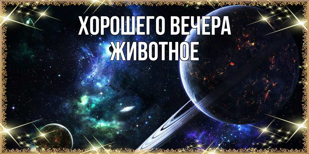 Картинка Хорошего вечера, животное