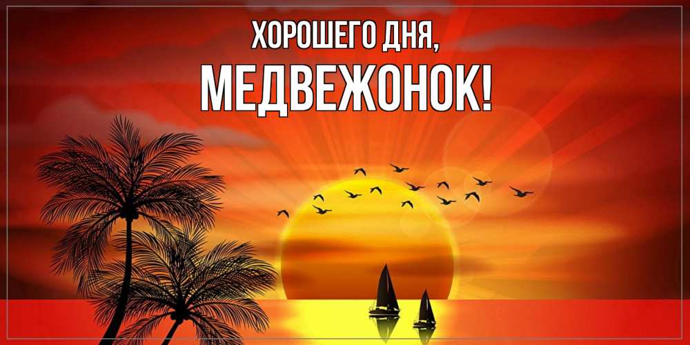 Открытка  для любимых и родных. медвежонок, Хорошего дня  