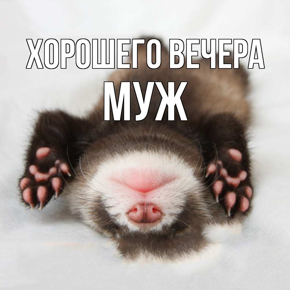 Открытка  для любимых и родных. Муж, Хорошего вечера  