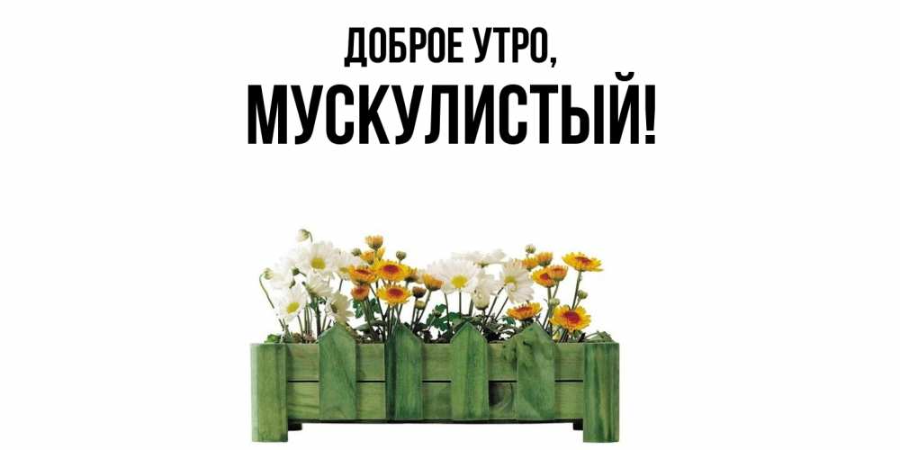 Открытка  для любимых и родных. мускулистый, Доброе утро  