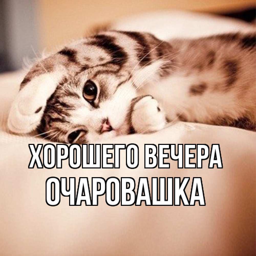 Открытка  для любимых и родных. очаровашка, Хорошего вечера  