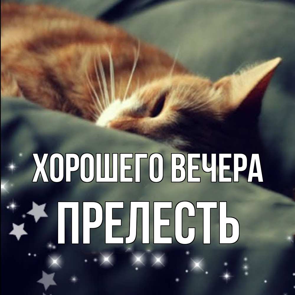 Открытка  для любимых и родных. пpелесть, Хорошего вечера  