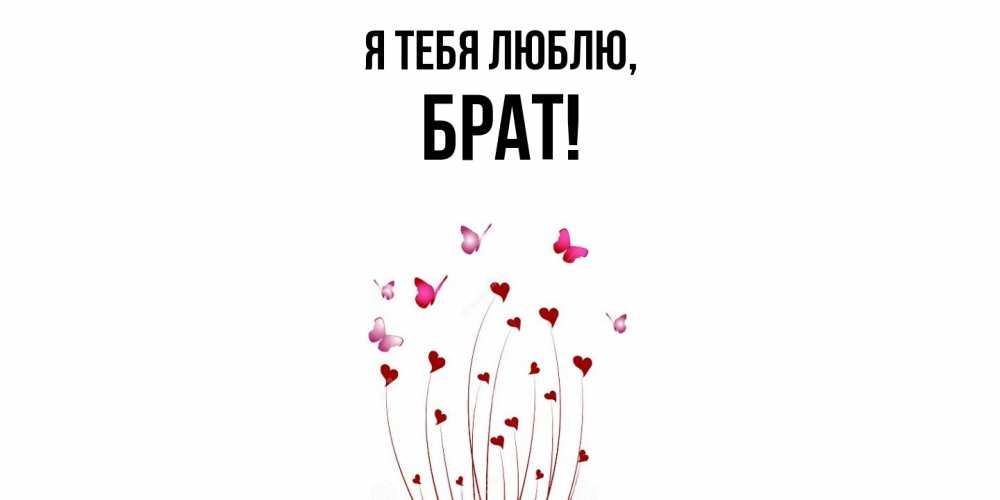 Картинка Я тебя люблю, Брат