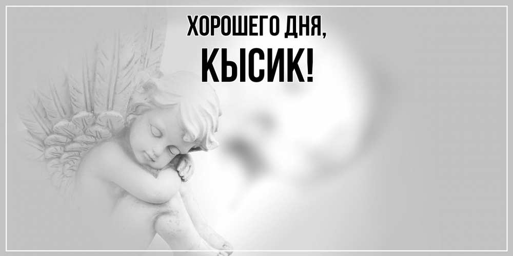 Открытка  для любимых и родных. кысик, Хорошего дня  